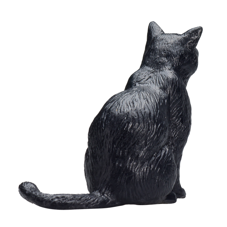 Cat Sitting Black