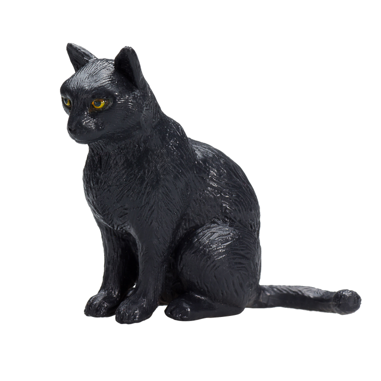 Cat Sitting Black
