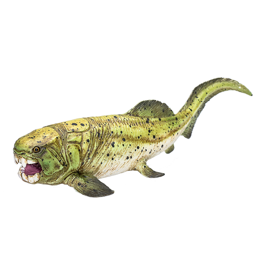 Dunkleosteus