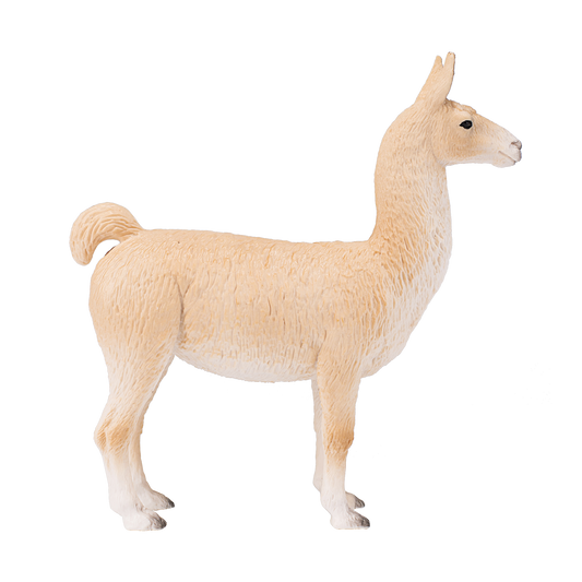 Llama