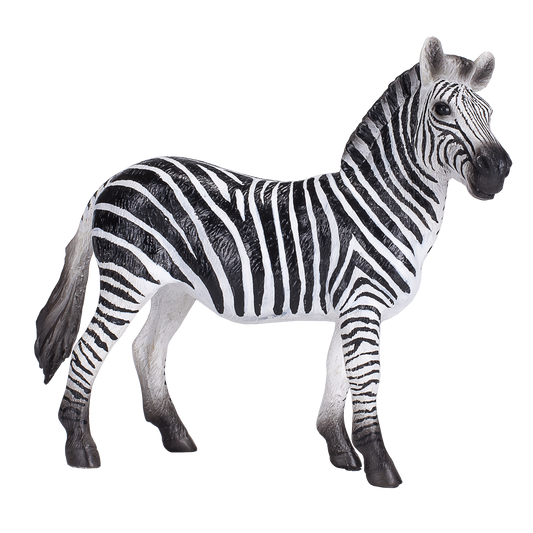Zebra Mare