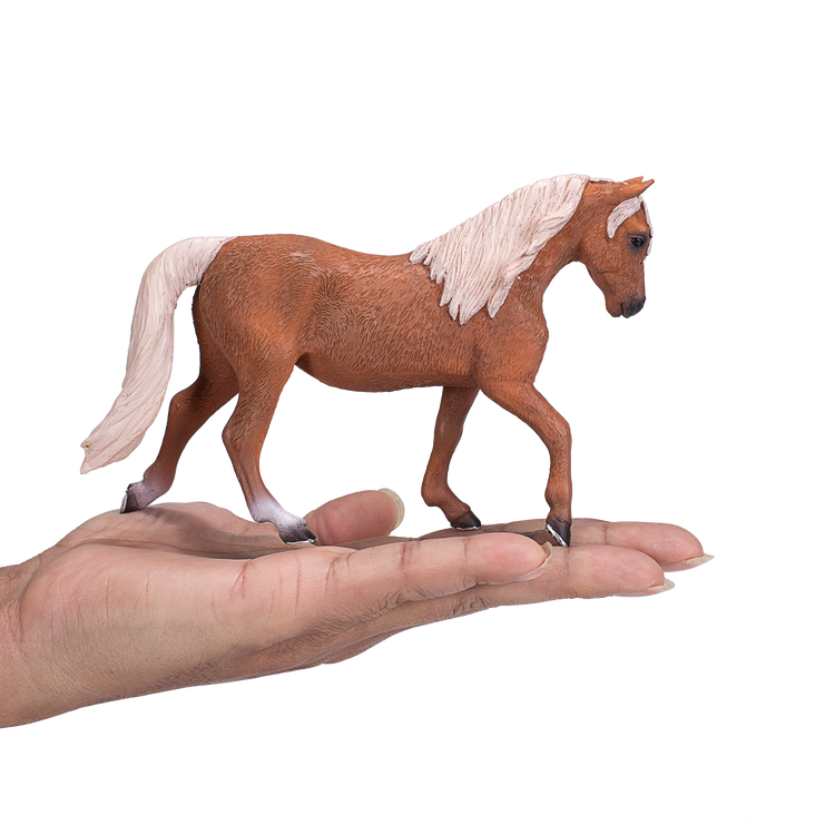 Morgan Stallion Palomino