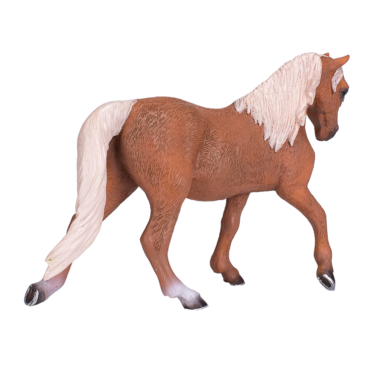 Morgan Stallion Palomino