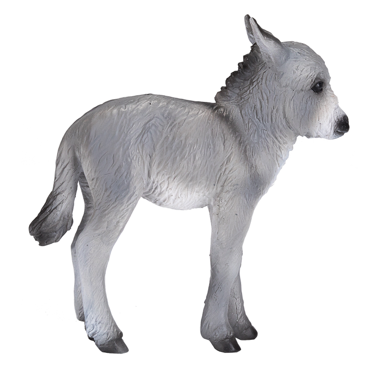 Donkey Foal