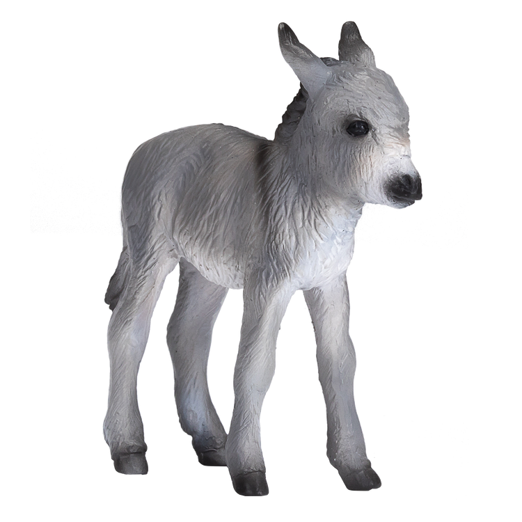Donkey Foal