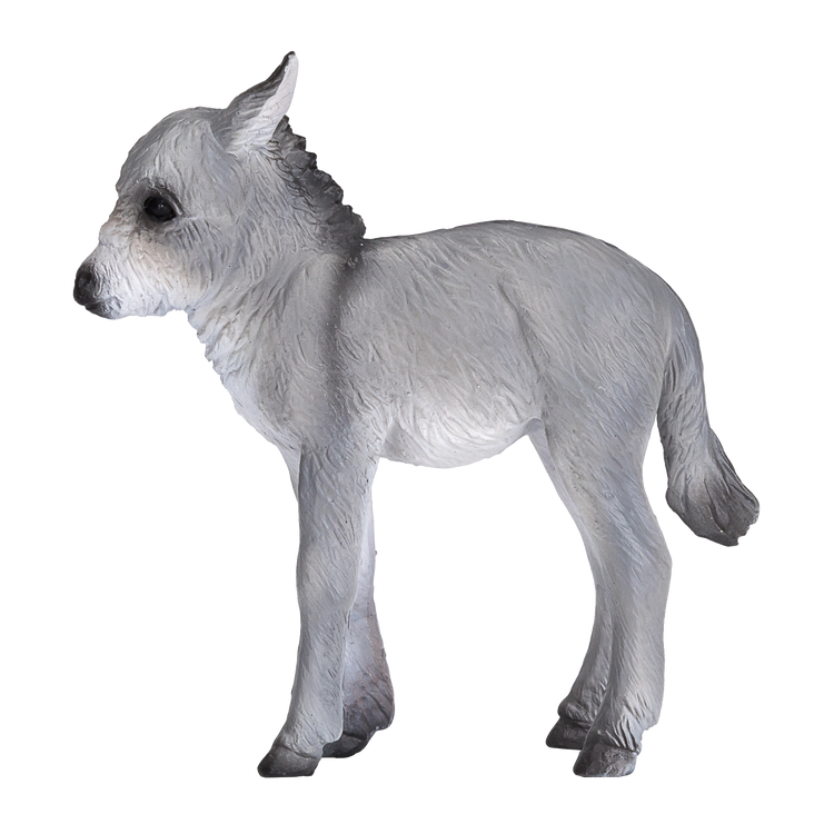 Donkey Foal