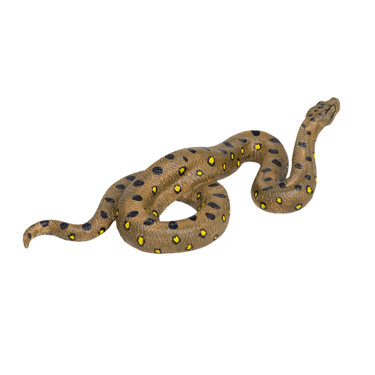 Anaconda