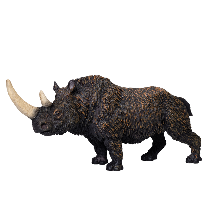 Woolly Rhino