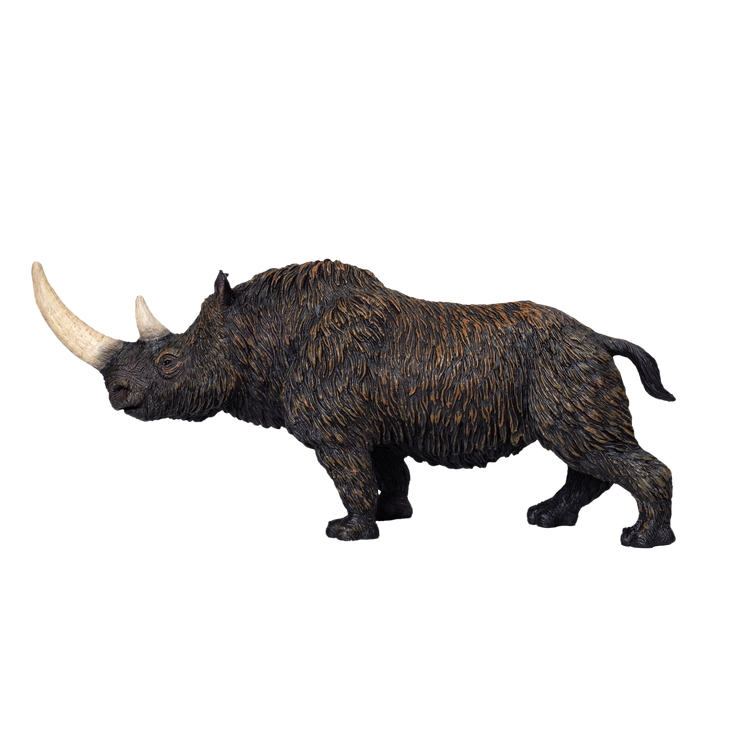 Woolly Rhino