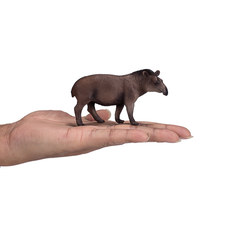 Brazilian Tapir