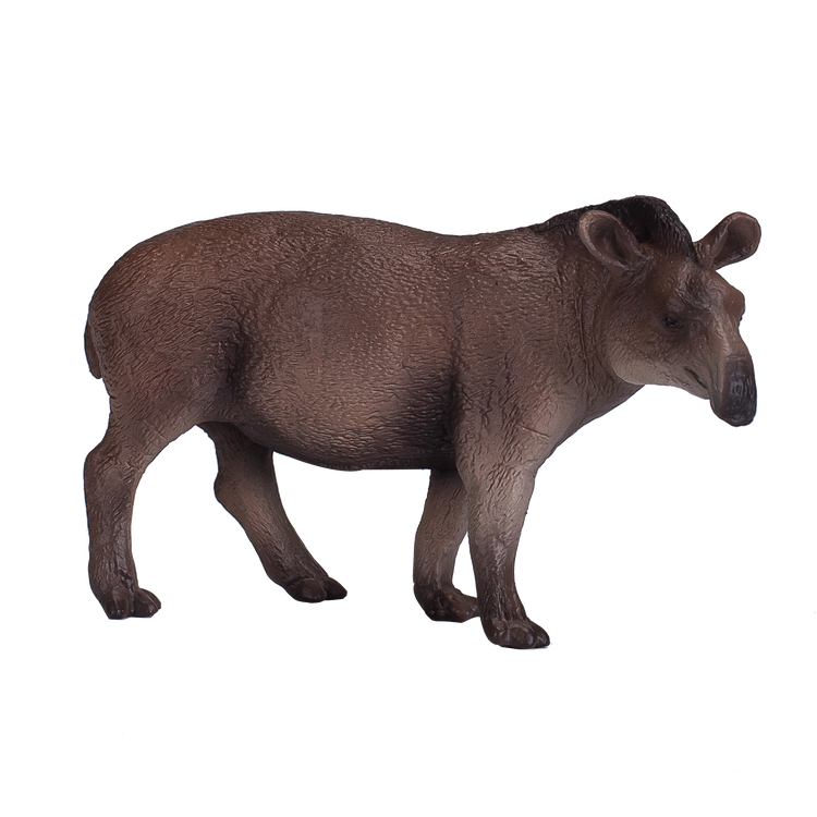 Brazilian Tapir