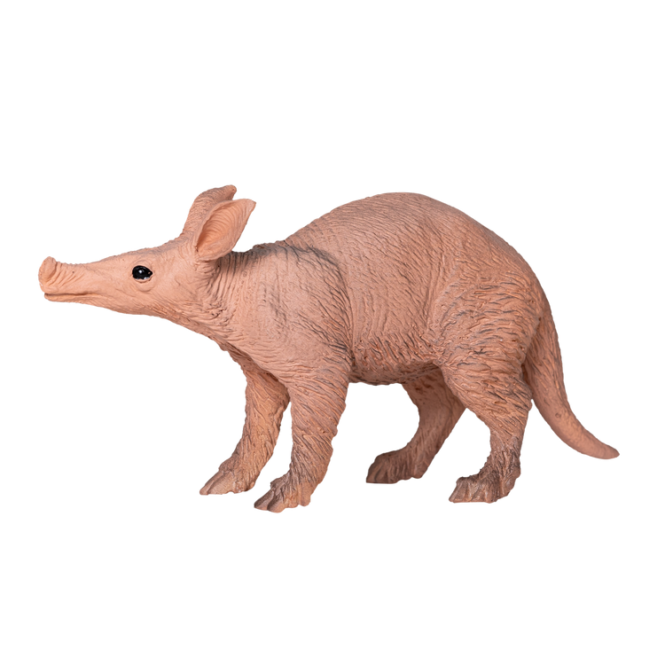 Aardvark