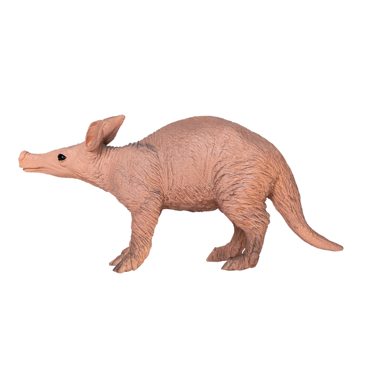 Aardvark