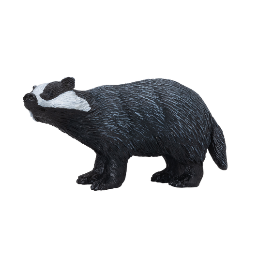 Badger