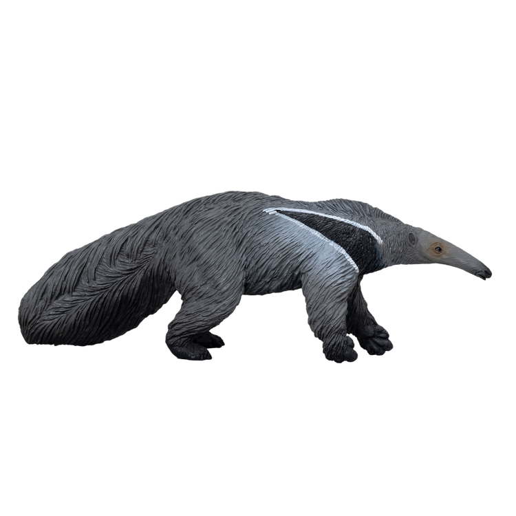 Giant Anteater