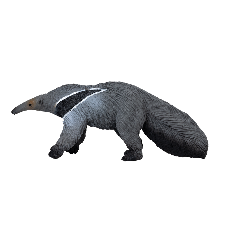 Giant Anteater