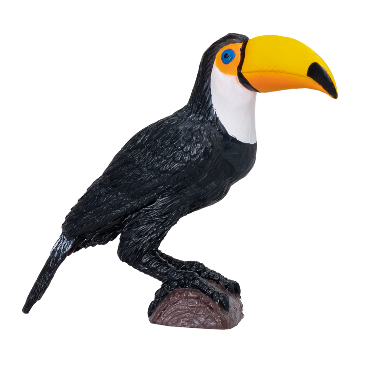 Toucan