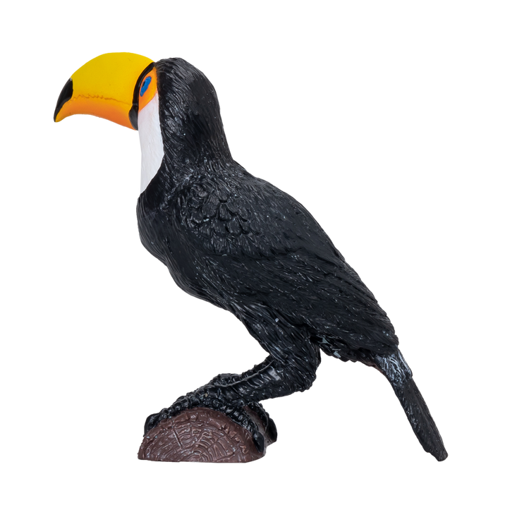 Toucan