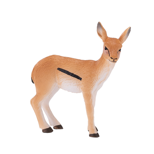 Thomson Gazelle Calf