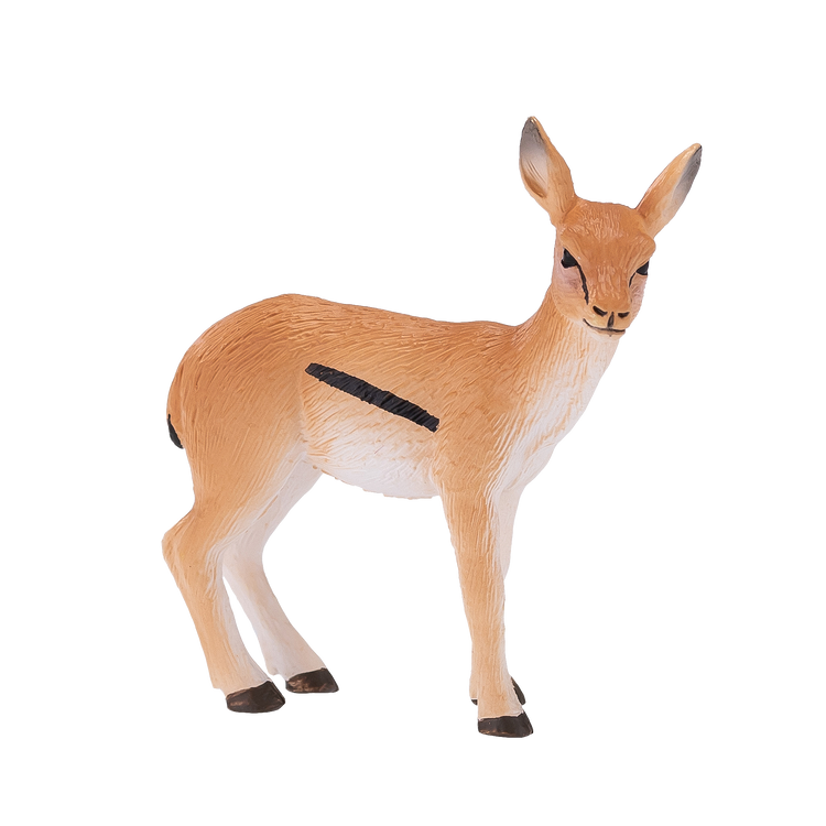 Thomson Gazelle Calf
