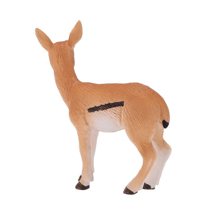 Thomson Gazelle Calf