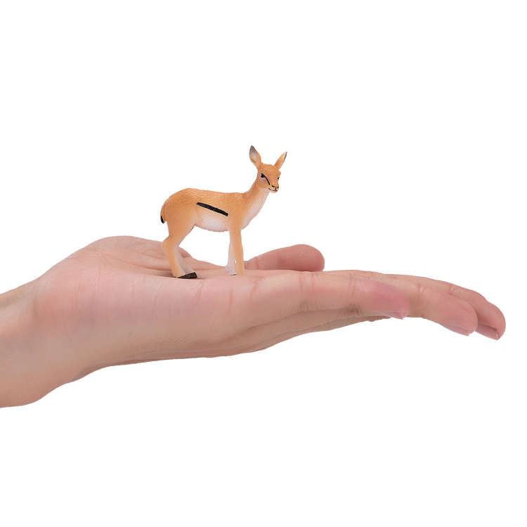 Thomson Gazelle Calf