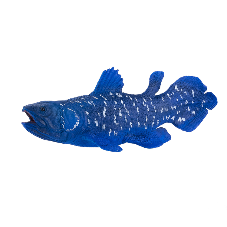 Coelacanth