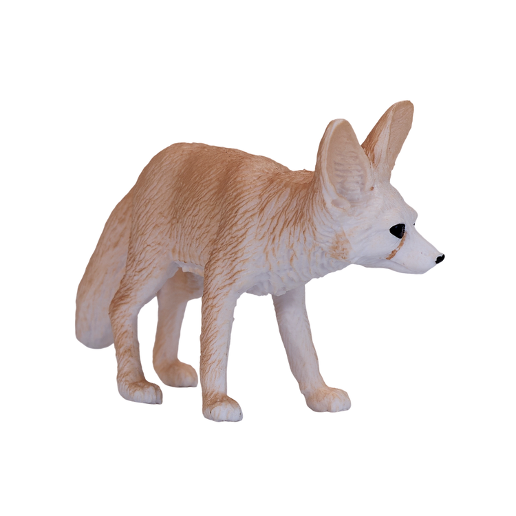 Fennec Fox