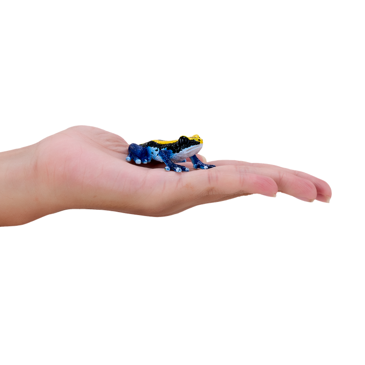 Poison Dart Frog Blue