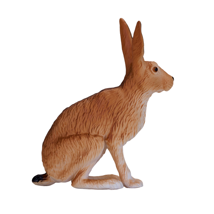 Hare
