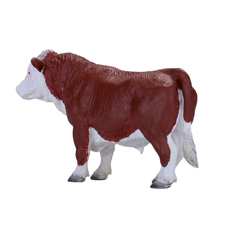 Hereford Bull