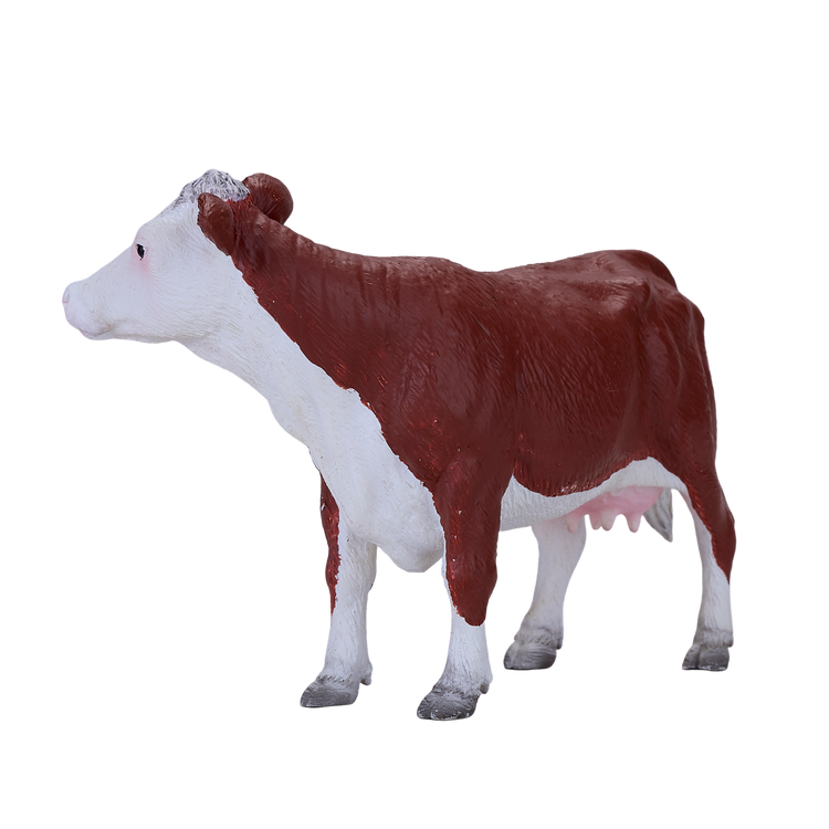 Hereford Cow