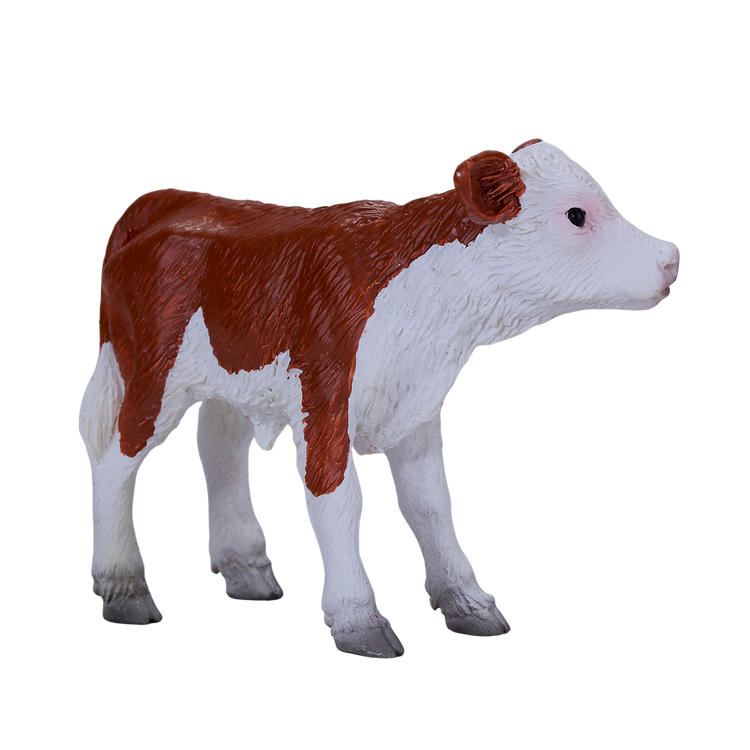 Hereford Calf