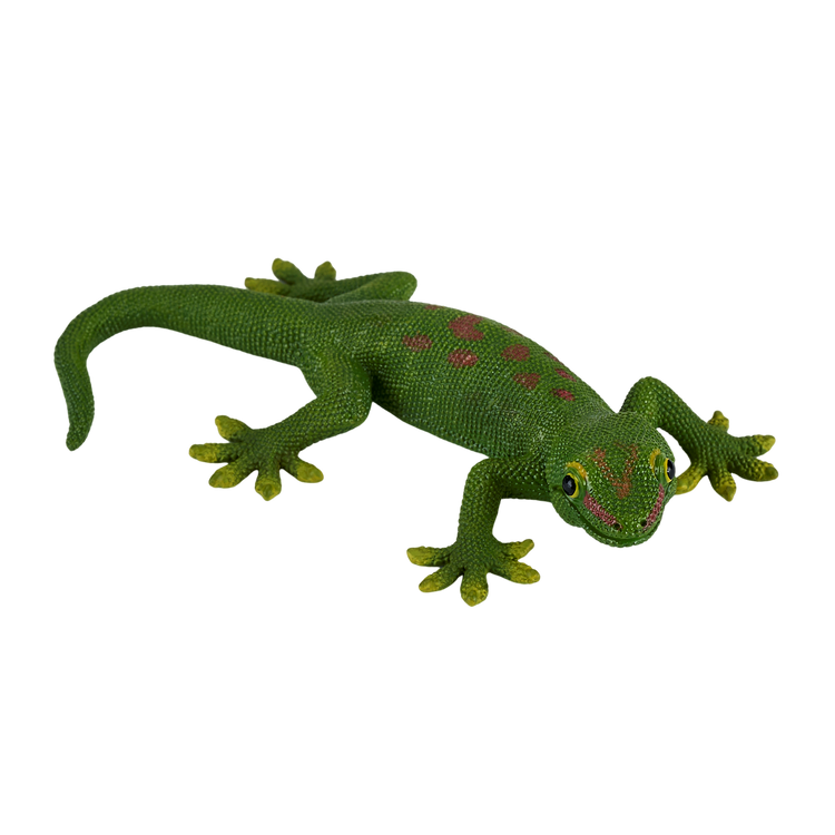Gecko