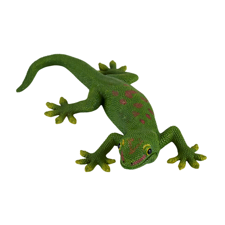 Gecko