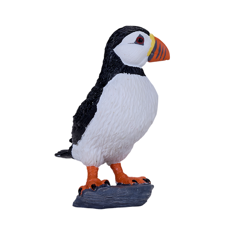Atlantic Puffin