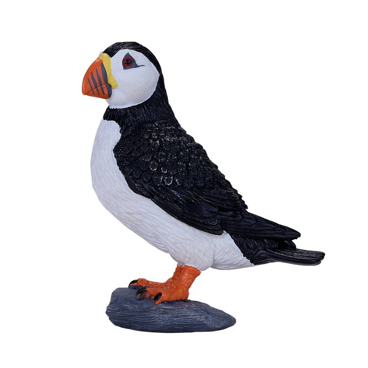 Atlantic Puffin
