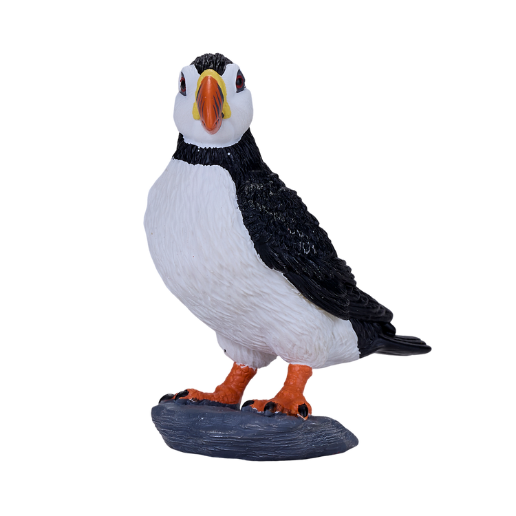 Atlantic Puffin