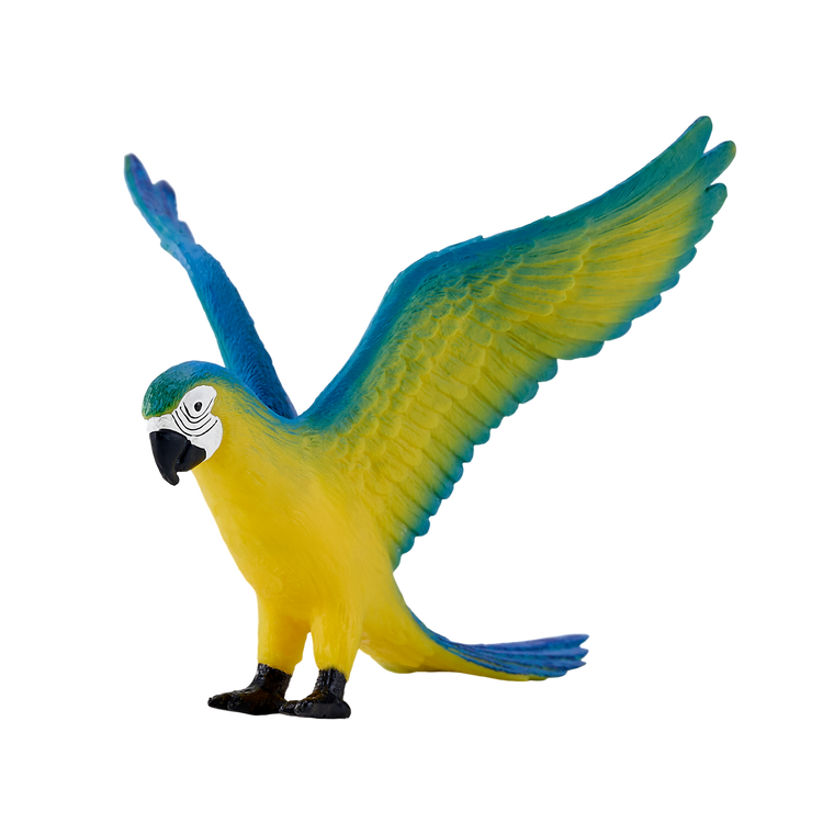 Blue Macaw Parrot