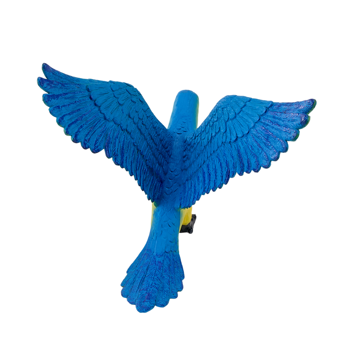 Blue Macaw Parrot