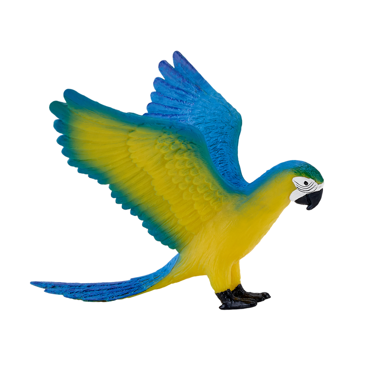 Blue Macaw Parrot