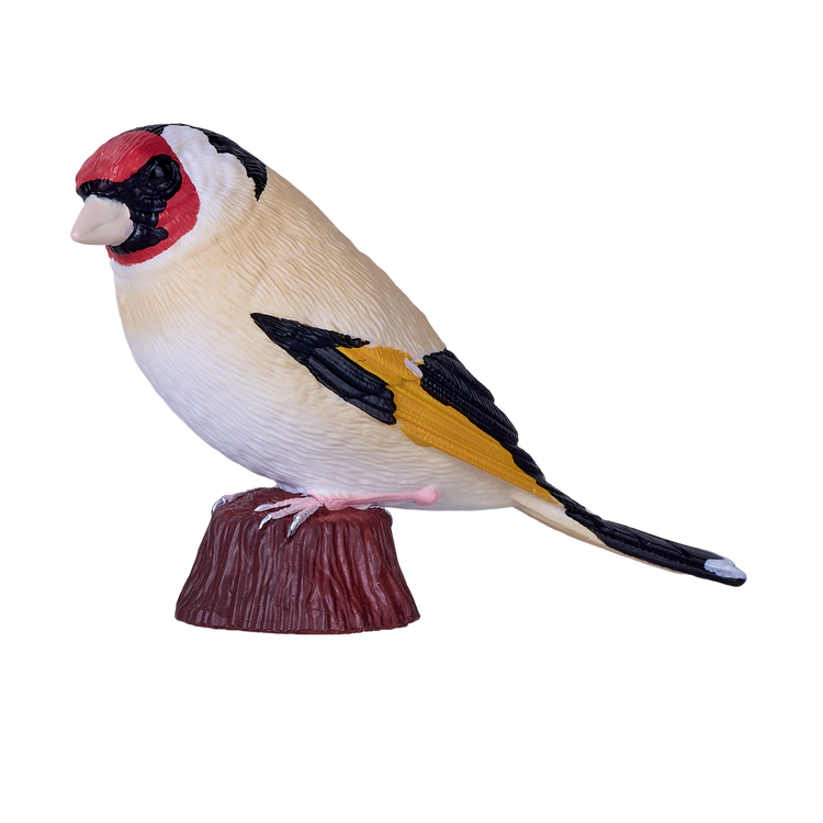 European Goldfinch