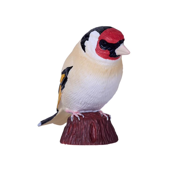 European Goldfinch