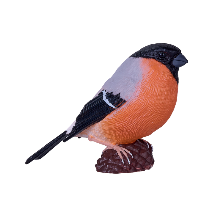 Bullfinch