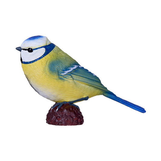 Blue Tit