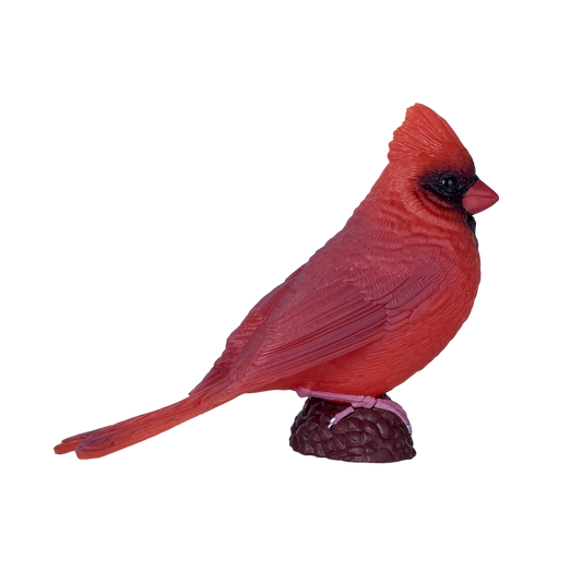 Red Cardinal