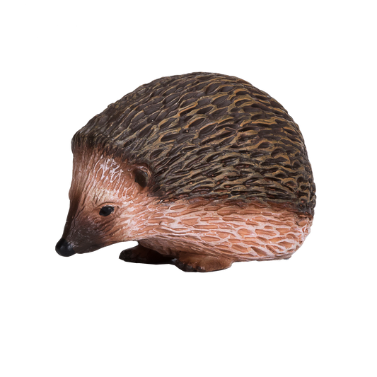 Hedgehog