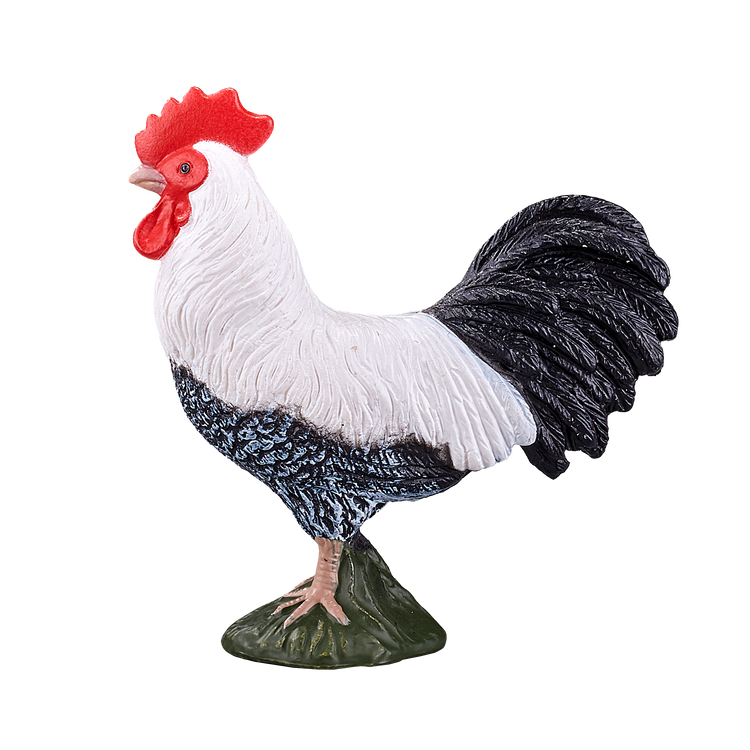 Cockerel