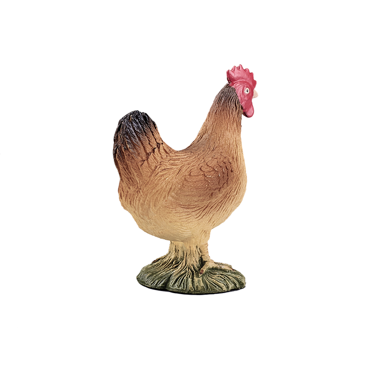 Hen Standing