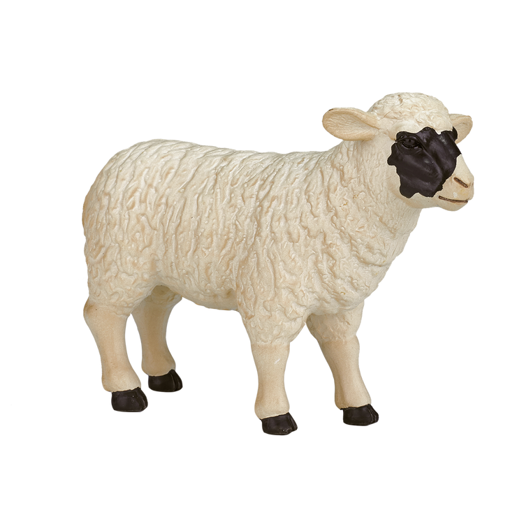 Black faced Sheep (Ewe)